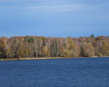 PXL037 du kangouroux,