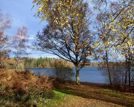 PXL038 nous avons crié