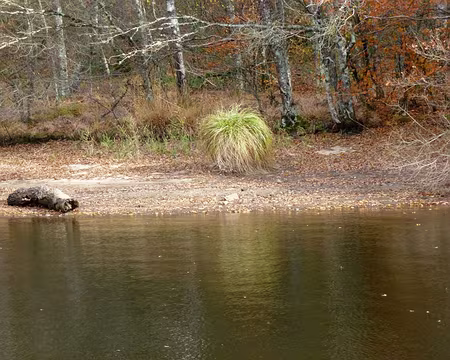 PXL042 ni frou-frou,