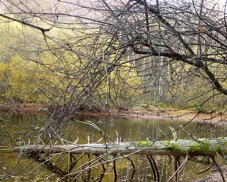 PXL043 nous nous y sommes cassé le coux.