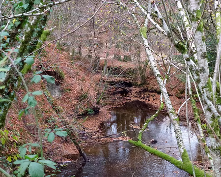 PXL051 du loup-garoux - c'était la pleine lune -,