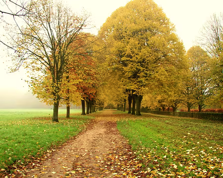 PXL002 Parc du Chateau