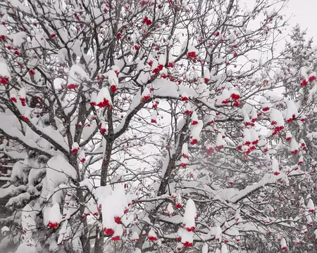 PXL014 Devenus réalité.