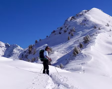 PXL024 La colette de Gilly... avec des raquettes, cette fois !