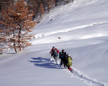 PXL027 Bernadette improvise au jour le jour : pas facile !
