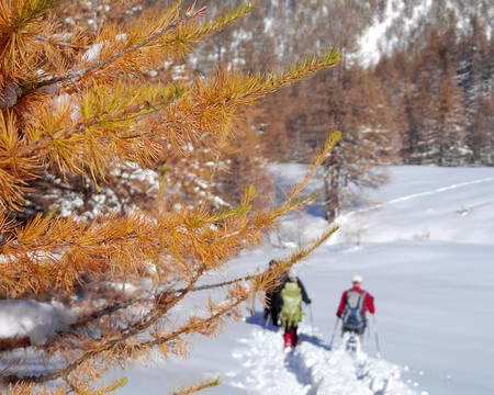 PXL028 ça va mieux en descente dans la poudreuse.