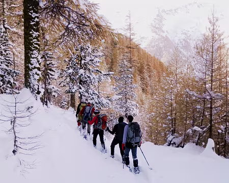 PXL029 Lueurs de l'après-midi