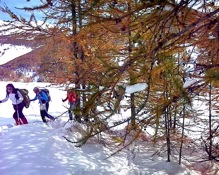 PXL036 Montée vers le Malrif.