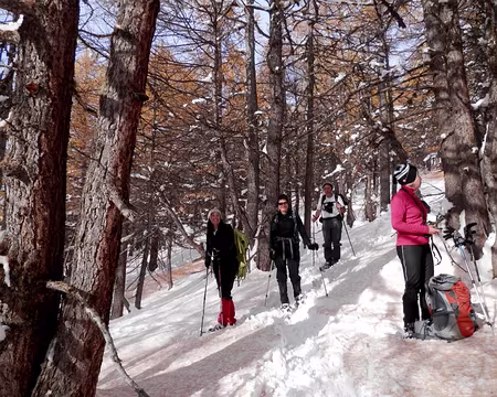 PXL051 Dans la descente