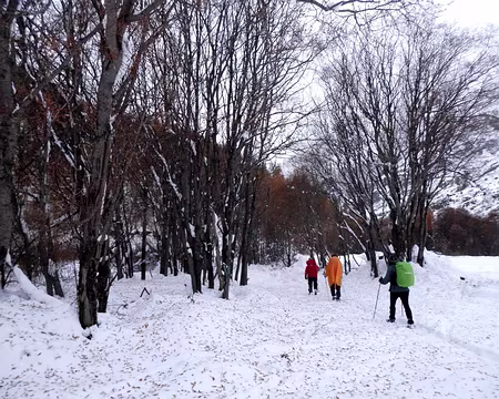 PXL053 31 10 12 En route pour La Chalp de St Véran