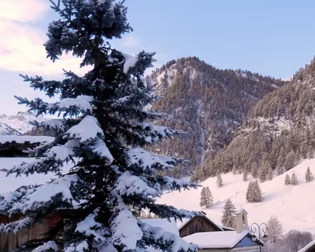 PXL071 Il a encore neigé cette nuit !