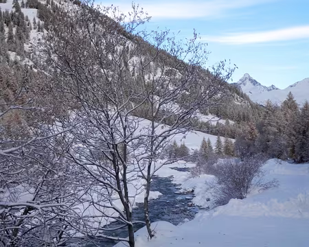 PXL073 L'aigue blanche porte bien son nom.