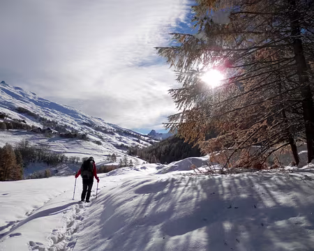 PXL075 Soleil frisant.