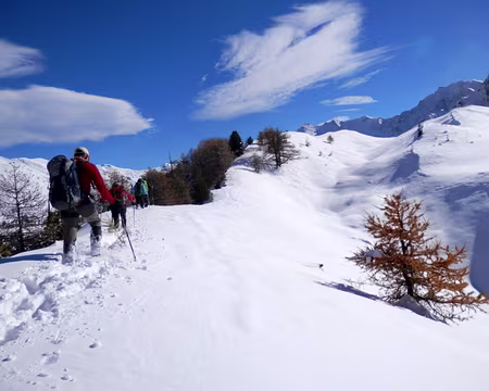 PXL083 Vent tourbillonant.