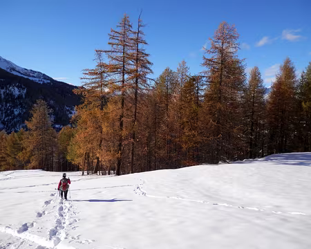 PXL092 Rousseur forte du soir.