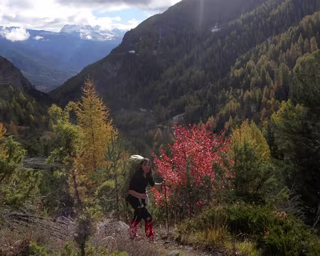 PXL094 Nous avons quitté la neige, avec un petit air méditéranéen, des lavandes et des genévriers sur l'adret.