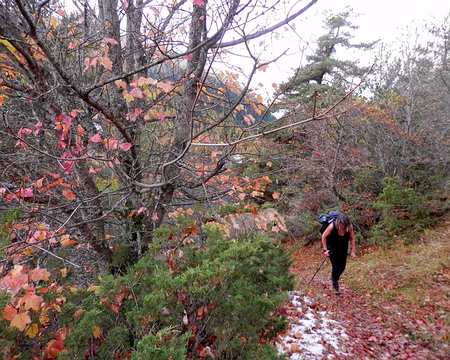 PXL095 Un soupçon de neige alors que nous prenons de l'altitude.