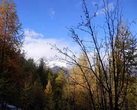 PXL101 Nous reculons dans le temps, passant de l'hiver à l'automne.