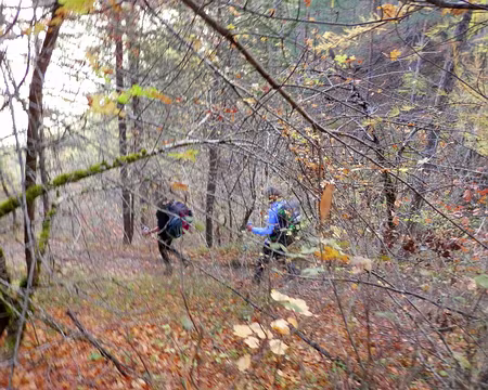 PXL102 Automne, enfin. Descente sur les Vigneaux.