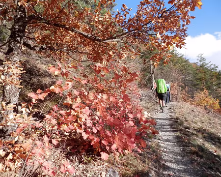 PXL109 Le sentier remonte vers Le Bouchier