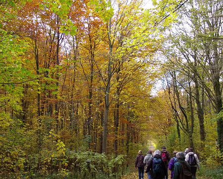 PXL005 Forêt de St-Germain-en-Laye...