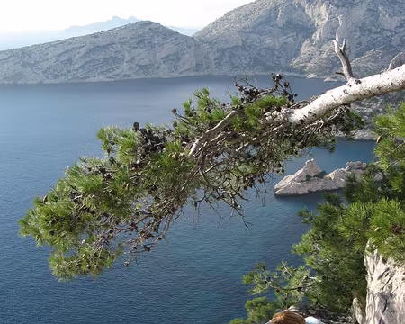 PXL005 Pique-nique estival avec vue plongeante