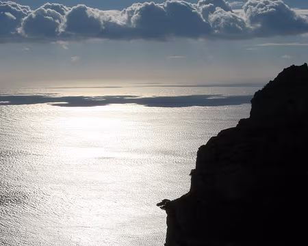 PXL036 Rue de nuages et pins suspendus