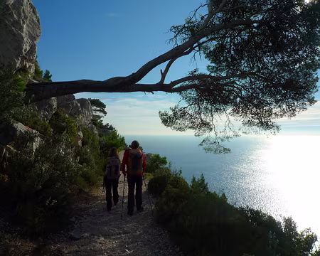 PXL005 Pour justifier la photo de la fiche technique