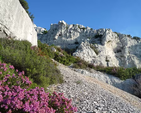 PXL012 Pierrier d'automne