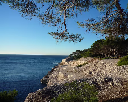 PXL029 La Pointe de Cacau : une ancienne friche industrielle !