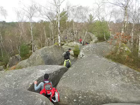 2012-12 Fontainebleau-