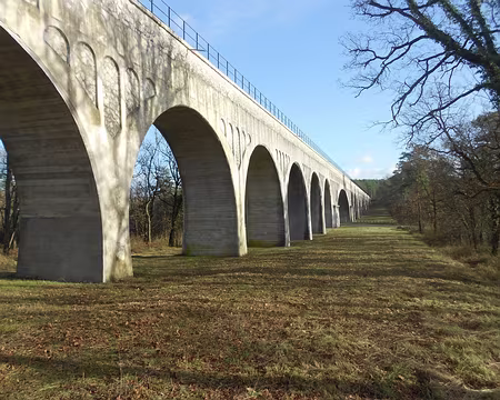 PXL004 ...Il traverse la forêt de Fontainebleau par 5 km de grandes arcades.