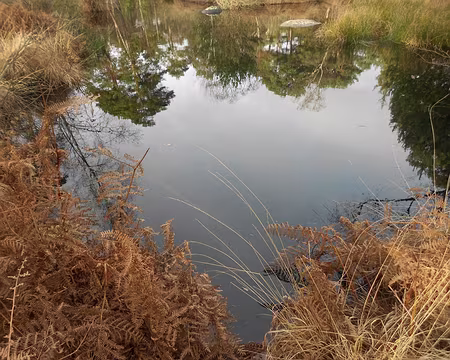 PXL010 ...aux Pigeons.