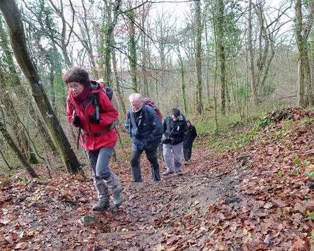 PXL000 Rayons de lumière