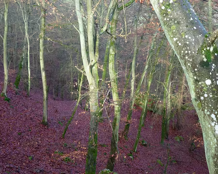 PXL002 les plus courts