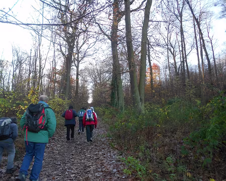 PXL004 La Forêt de Meudon, 1 100 ha, composée de Châtaigniers et chênes