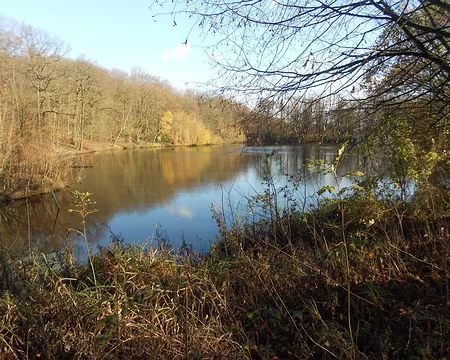 PXL013 Etang de Villebon