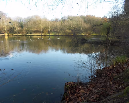 PXL014 Etang de Trivaux