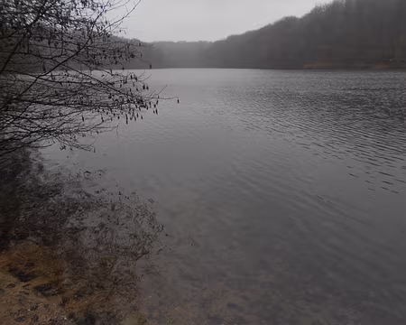 PXL003 L'étang du Moulin à Renard