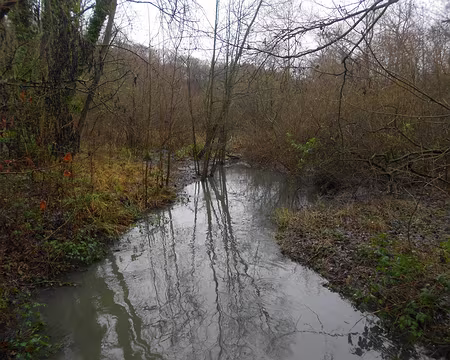 PXL005 La Bièvre proche de sa source