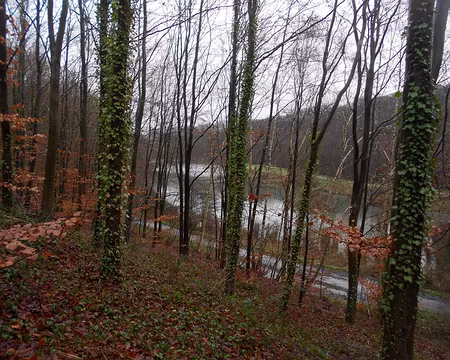 PXL006 L'étang Braque