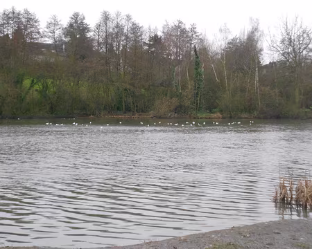 PXL012 L'étang Cranne à Plaisir