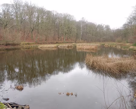 PXL016 L'étang de Plaisir