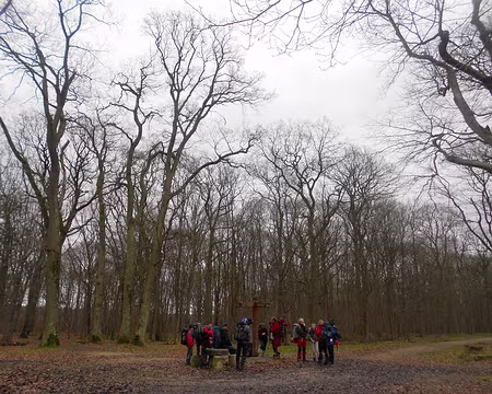 PXL017 Forêt de Sainte-Apolline