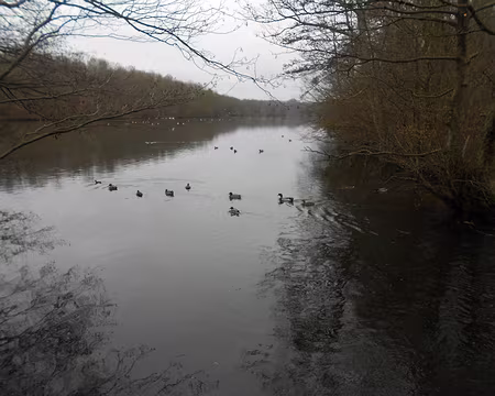 PXL010 Etang de Commelles