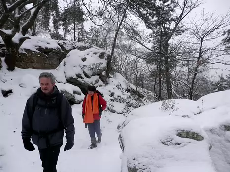 2013-01 Fontainebleau