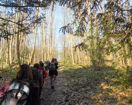 PXL003 Forêt de L'Isle-Adam