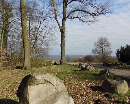 PXL009z1318 Bois-Carreau