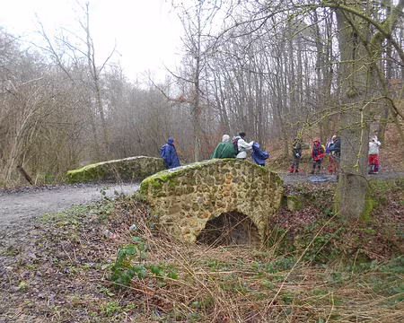PXL023 Vallée du Rhodon, affluent de l'Yvette, long de 9 km