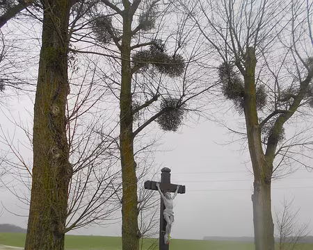 PXL024 Croix Mathurine